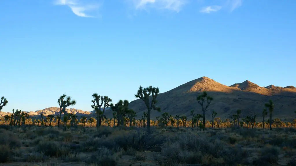 Still 2025-03-13 215306_2.32.1 - Still 2025 03 13 215306 2.32.1 - Best Backpacking Gear