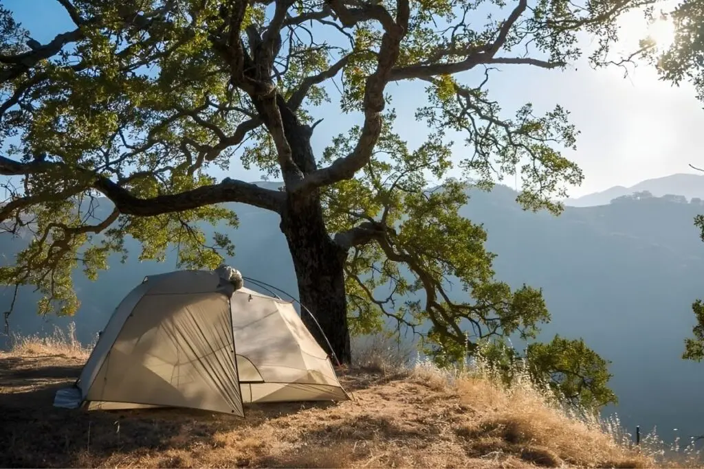 Lightweight backpacking tent pitched under oak trees.